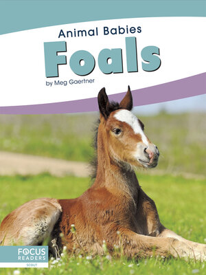 cover image of Foals